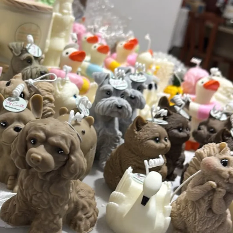 Cachorros, gatos e cisne na bancada da Sky Candle