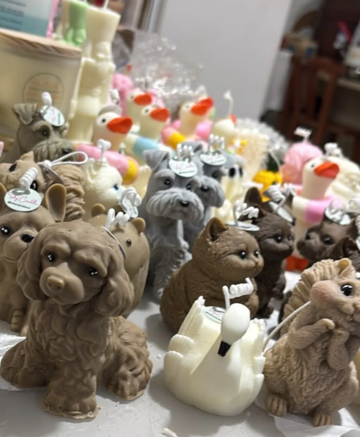 Velas de cachorro, gato e cisne na bancada da Sky Candle